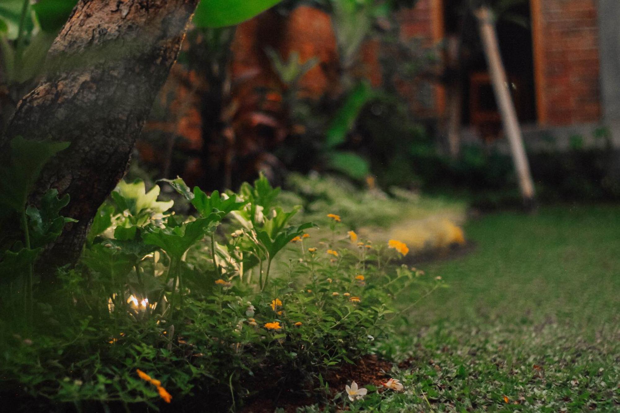 Govardan Home Stay Canggu  Exterior photo
